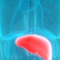 Can Low Carb Diets Improve Liver Function in People with Fatty Liver Disease?