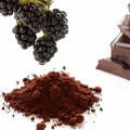 What low carb foods are high in fiber?