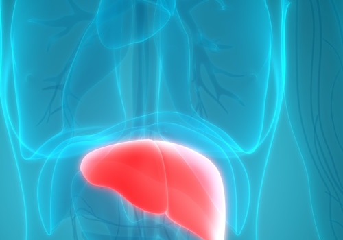 Can Low Carb Diets Improve Liver Function in People with Fatty Liver Disease?
